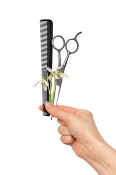 hairdresser holds the snowdrops and tools for haircut