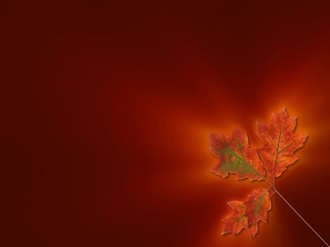 Glowing oak leaves on the brown background