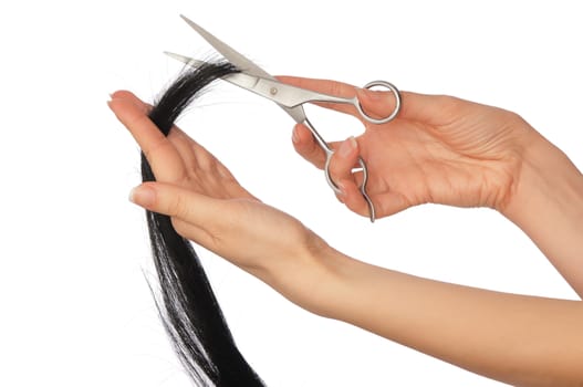 hairdresser cutting young woman with long black hair