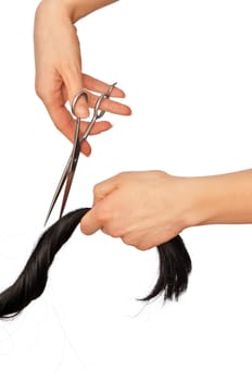 hairdresser cutting young woman with long black hair