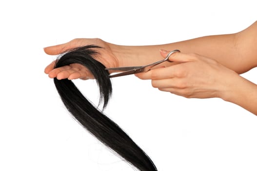 hairdresser cutting young woman with long black hair