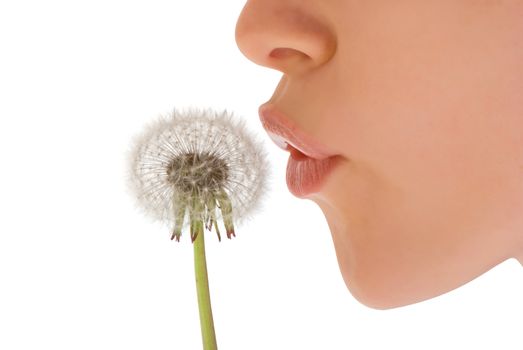 Young woman blowing white dandelion on white background