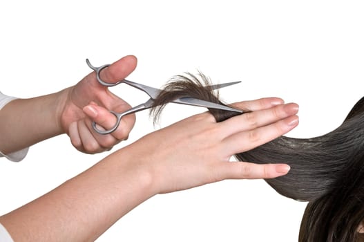 hairdresser cutting young woman with long black hair