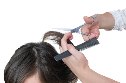 hairdresser cutting young woman with long black hair