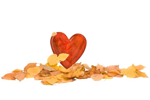 heart in the pile of autumn yellow leaves on white background