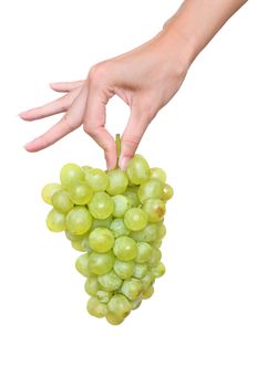 a brunch of green grape in the woman's hand on white background