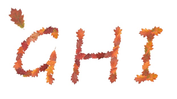 alphabet made of autumn leaves for education