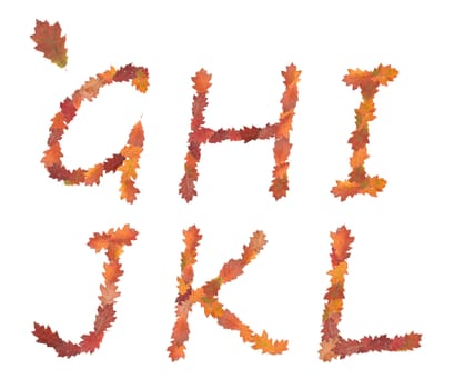 alphabet made of autumn leaves for education