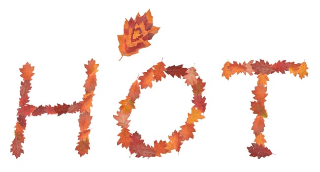 word hot made of autumn leaves as a button