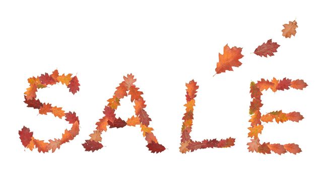 autumn season word sale as a price tag on white background