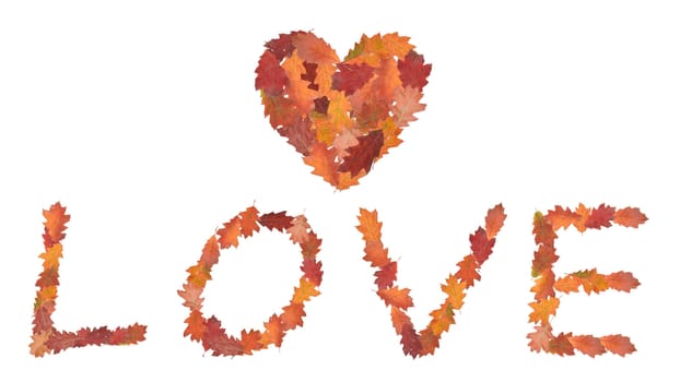 word love made of autumn leaves as a symbol of valentine's day