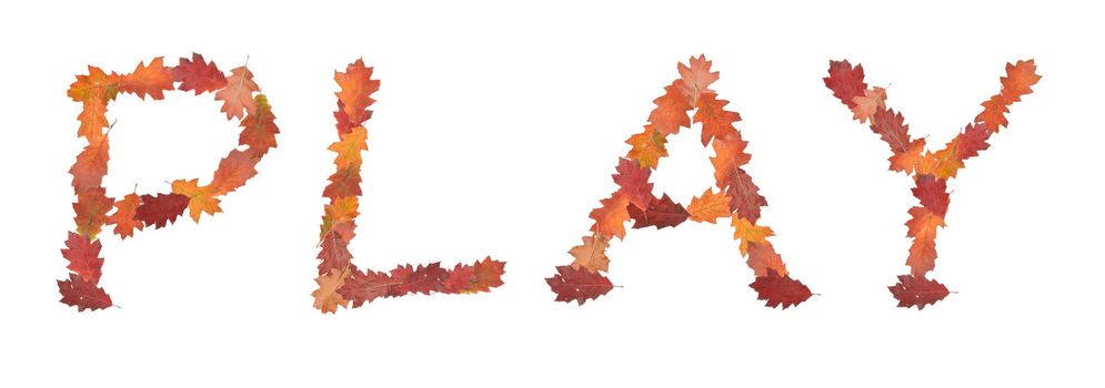 word play made of autumn leaves for game on white background