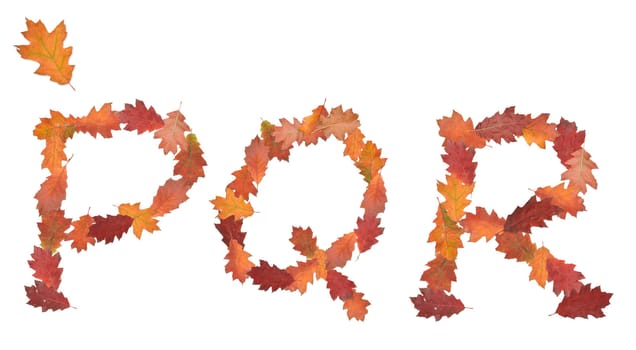 alphabet made of autumn leaves for education
