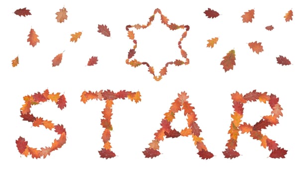 word star made of autumn leaves with David's star and leaves