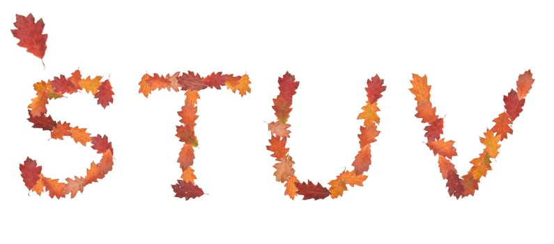 alphabet made of autumn leaves for education