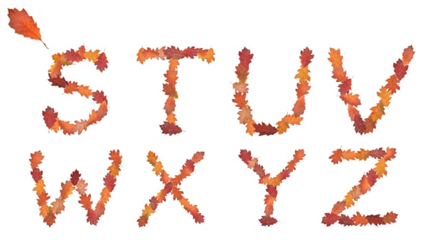 alphabet made of autumn leaves for education