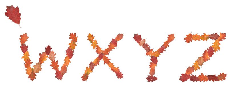 alphabet made of autumn leaves for education