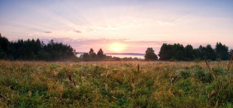 scenic landscape in field, panorama