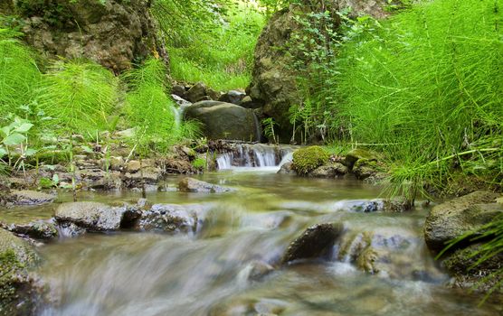 beautiful waterfall on small forest stream
