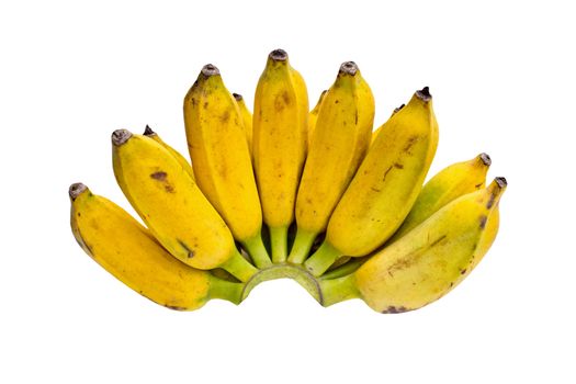 Bunch of bananas isolated on white background + Clipping Path