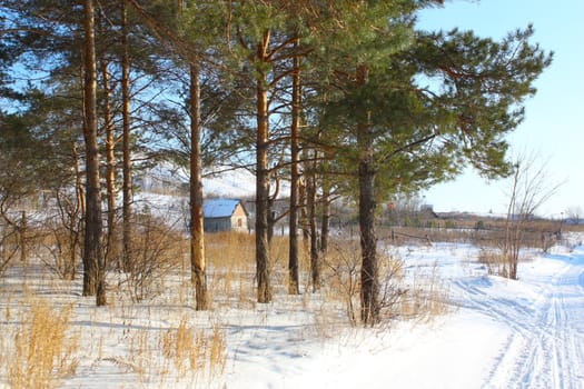 House near forest in winter