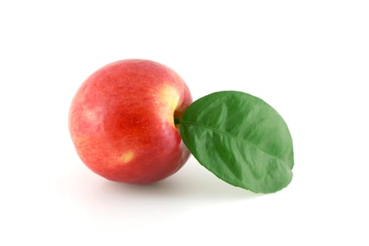 Ripe red apple with green leaf over white