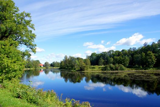 River and trees on a background of the blue sky