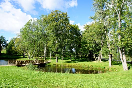 The bridge on a background of a pond and trees