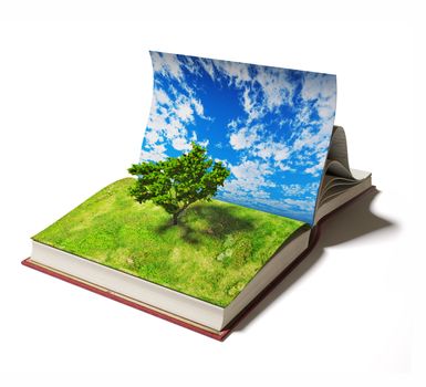 open book with tree on the  page. Ilustrated concept