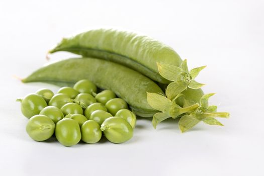 Fresh green pea in the pod isolated