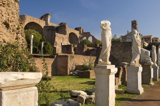 Ancient Roman statues stand on pedestals in the open air in Rome