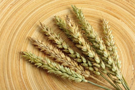 Wheat ears on wooden plate