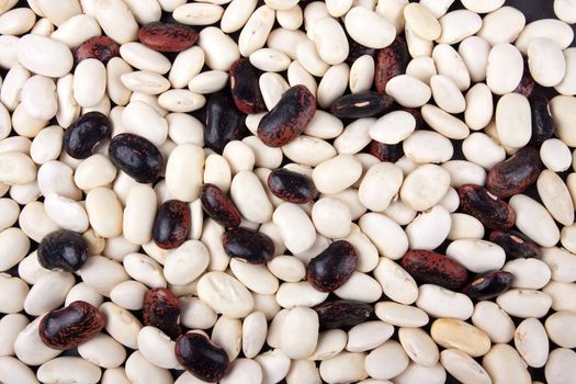 White and brown beans background