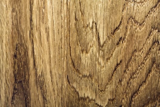 Wood texture close up