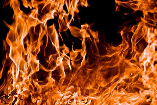 Orange flame burning on black background