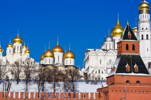 Moscow Kremlin Wall and Cathedral of the Archangel Michael, Russia