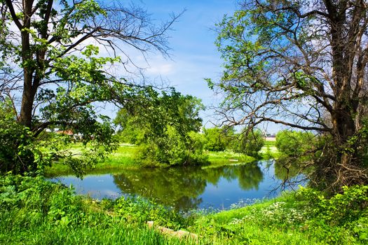 Trees and river in Suzdal, Russia