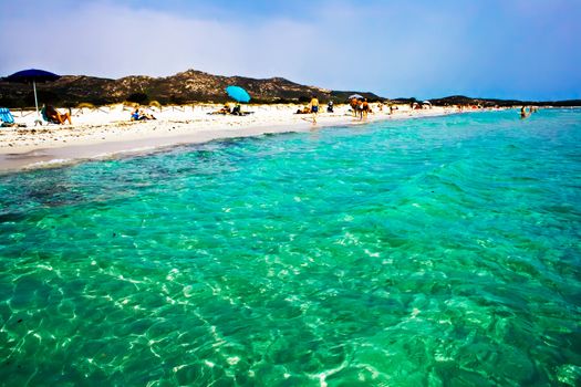 Transparent Green whater of the Thyrenian sea in Sardinia, Italy