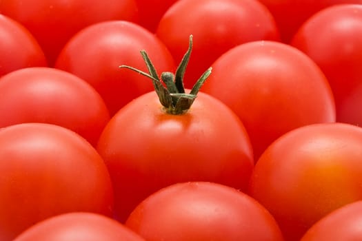 Red tomatoes background