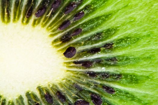 Macro photo of a fresh kiwi