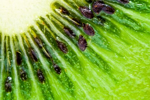 Macro photo of a fresh kiwi