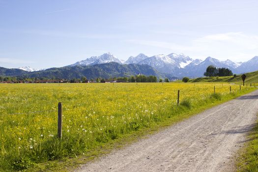 lovely panorama in the alps in Germany