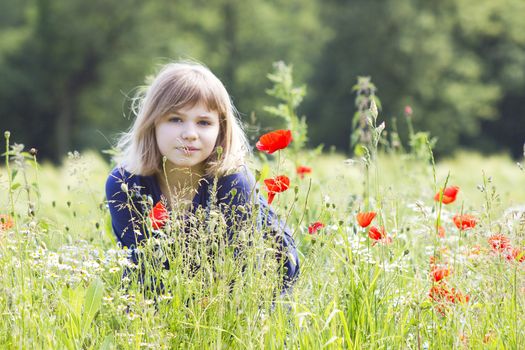 Cute young girl in poppy field