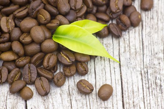 Coffee beans on old wooden background