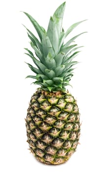 Pineapple isolated on white background