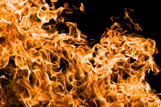 Orange flame burning on black background