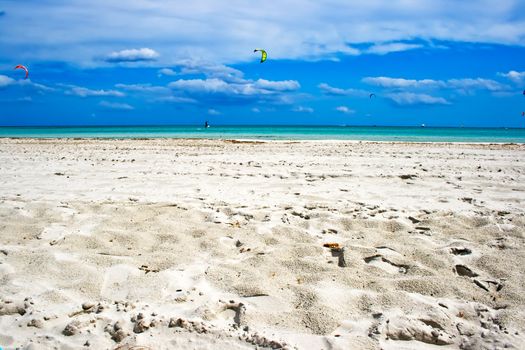 White sand of the beach in San Teodoro, Sardinia, Italy