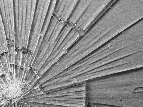 Cracked Glass Macro in Black and White