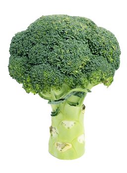 Fresh broccoli isolated on white background