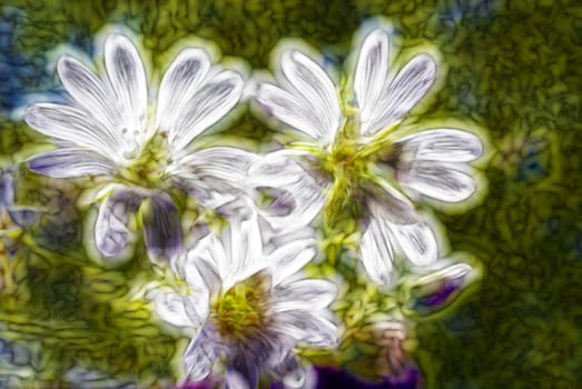 Spring flowers, on blue green sky background